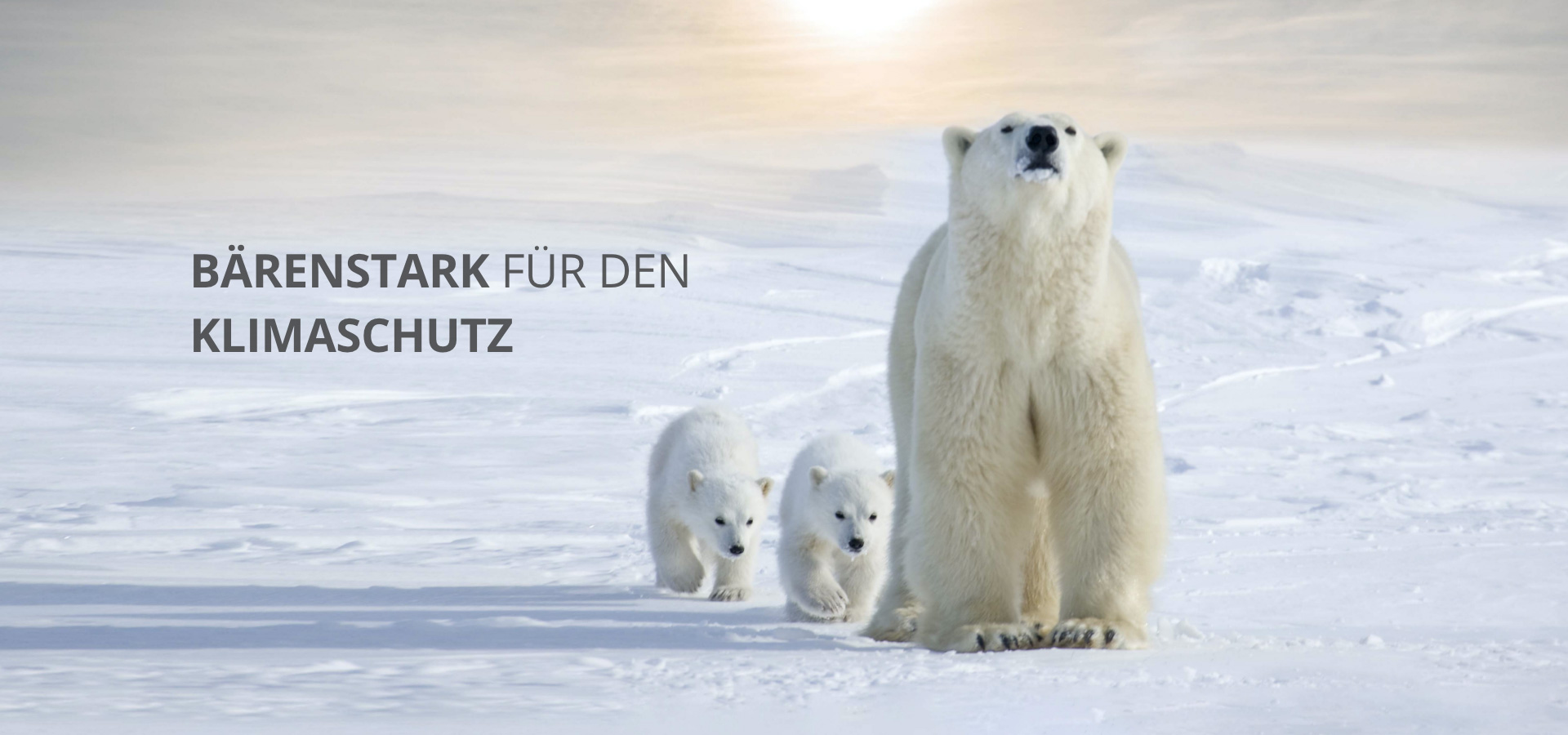 Bärenstark für den Klimaschutz